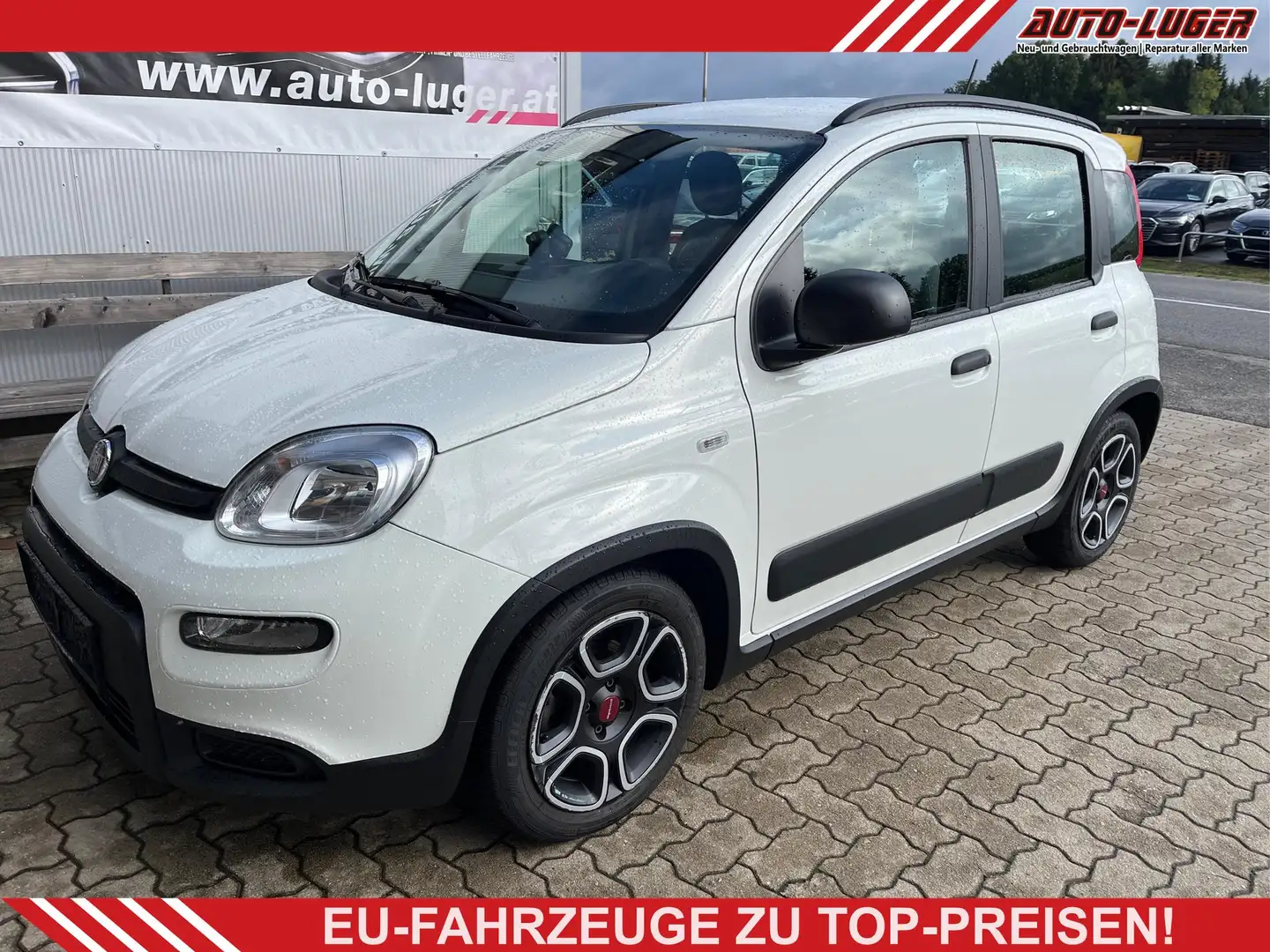 Fiat Panda City Life  Firefly Hybrid 70 51 kW (70 PS), Sch... Weiß - 1