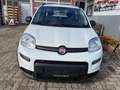 Fiat Panda City Life  Firefly Hybrid 70 51 kW (70 PS), Sch... Weiß - thumbnail 8
