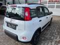 Fiat Panda City Life  Firefly Hybrid 70 51 kW (70 PS), Sch... Weiß - thumbnail 5