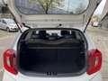 Kia Picanto 1.0 T-GDi GT-Line 5p 100 PK 45557KM! NAP | Navigat Wit - thumbnail 8