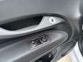 Fiat 500 1.0 Hybrid FireFly 48 kW 6 Gang Torino Blau - thumbnail 23