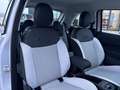 Fiat 500 1.0 Hybrid FireFly 48 kW 6 Gang Torino Blau - thumbnail 17