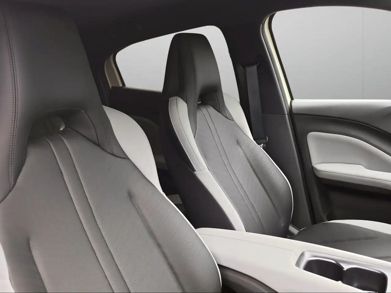 BYD DOLPHIN SURF