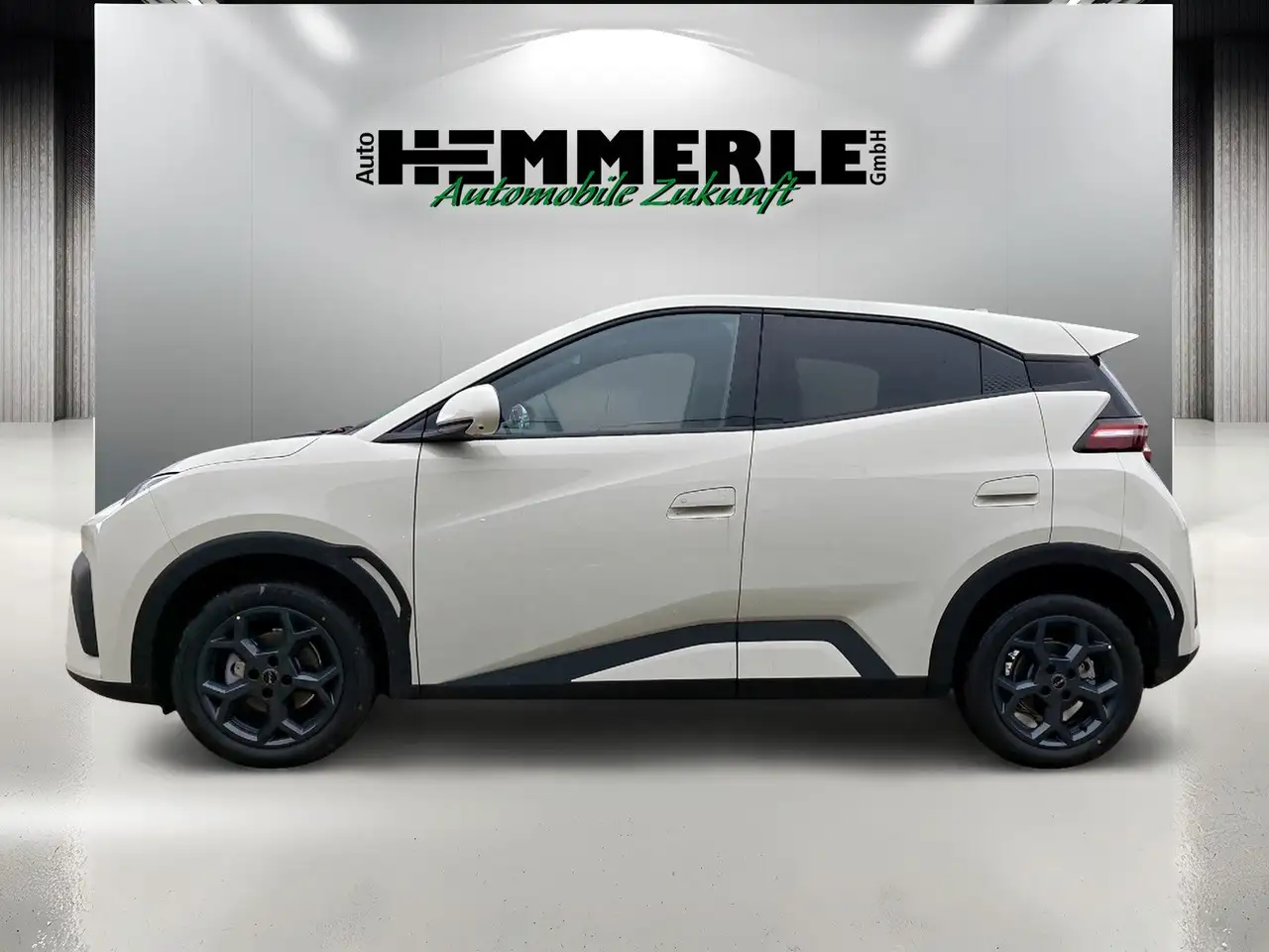 BYD DOLPHIN SURF