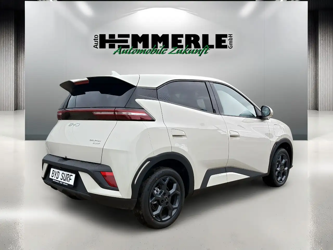 BYD DOLPHIN SURF