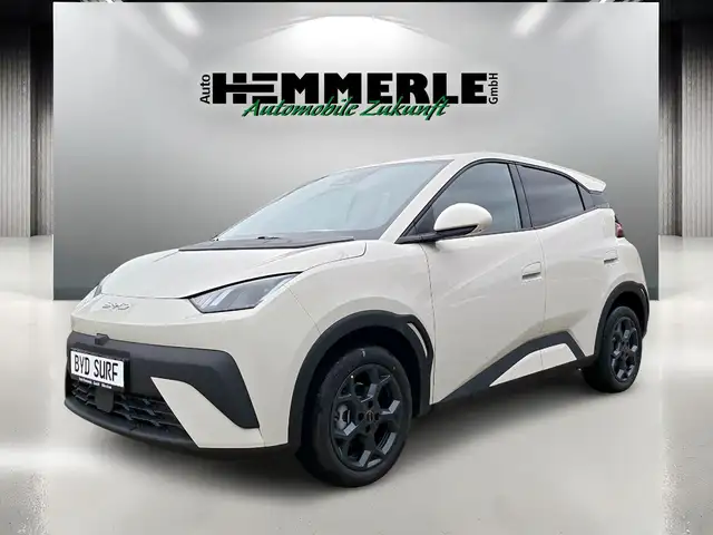 BYD Dolphin Surf