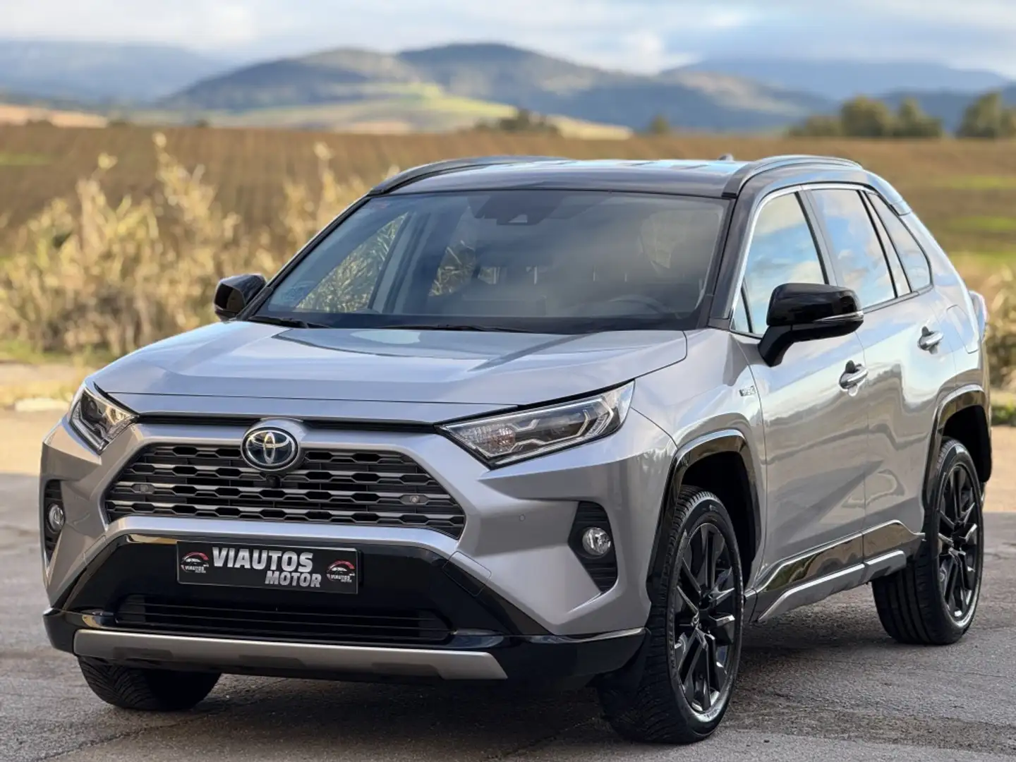 Toyota RAV 4 2.5 hybrid 2WD Luxury Gris - 2