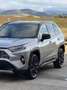 Toyota RAV 4 2.5 hybrid 2WD Luxury Gris - thumbnail 5