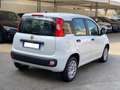 Fiat Panda 1.2 Easy Blanco - thumbnail 6