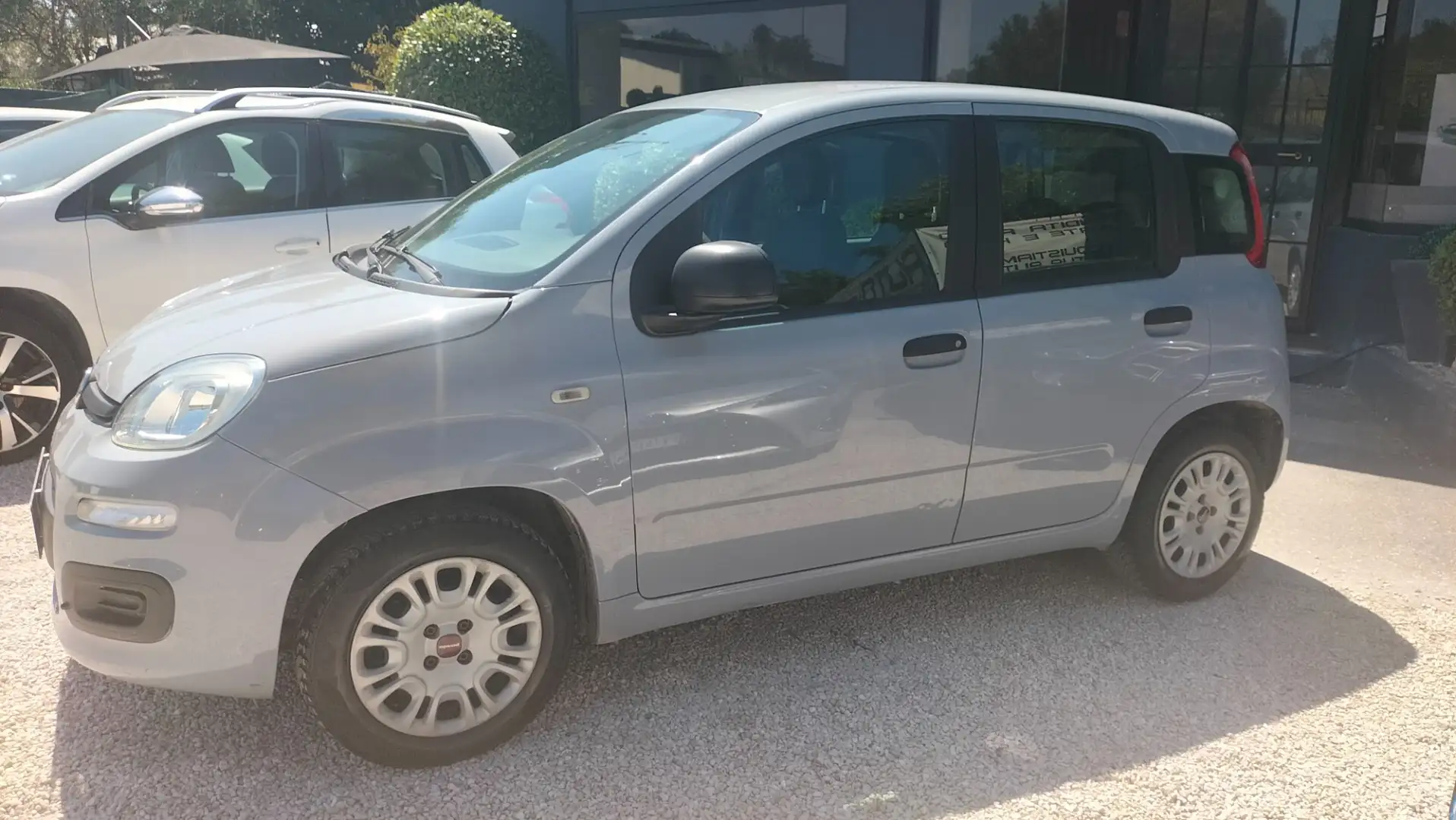 Fiat Panda Panda 1.2 Easy **PREZZO OUTLET** Grigio - 2