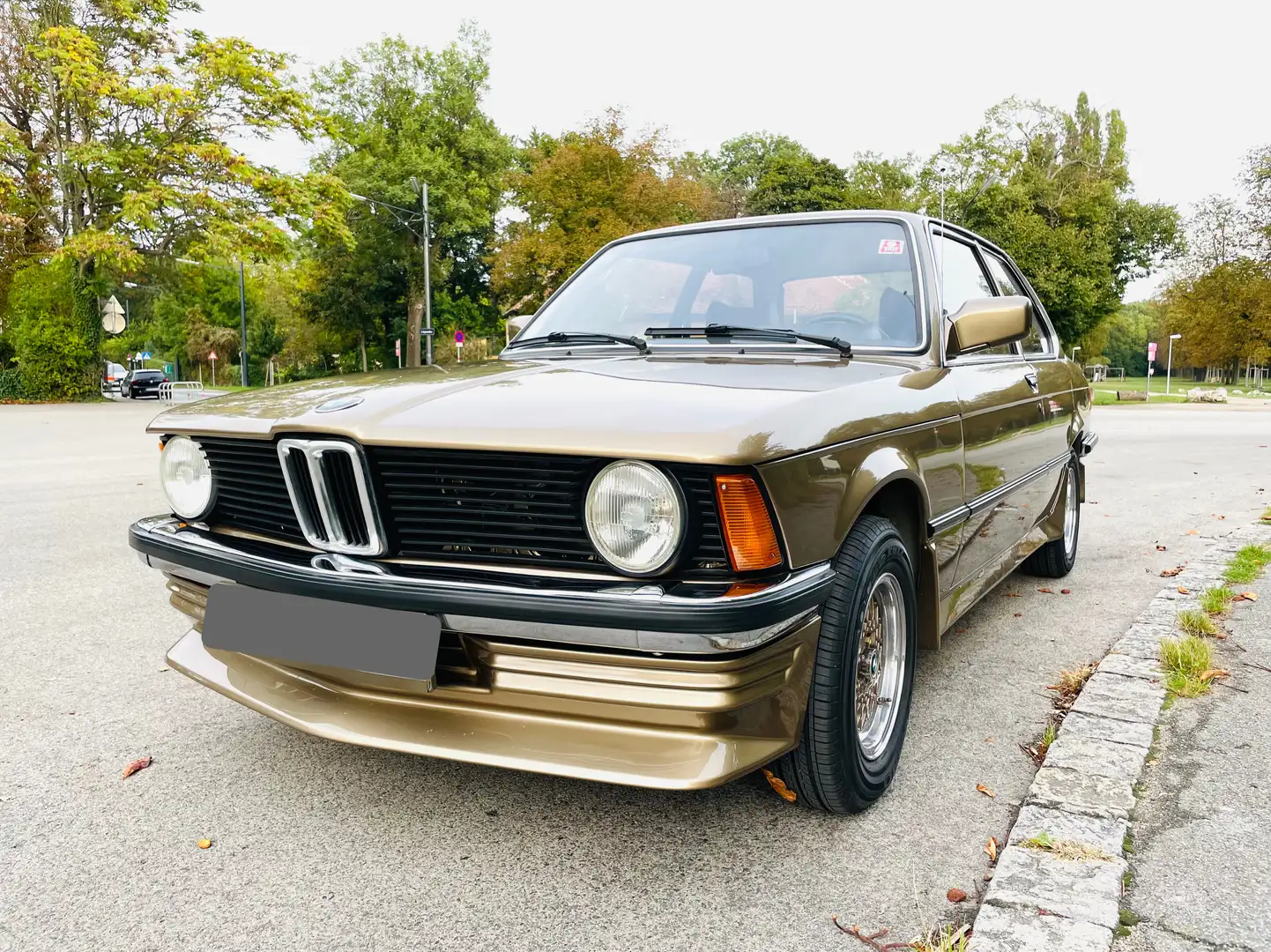 BMW 315 (E21) - 2