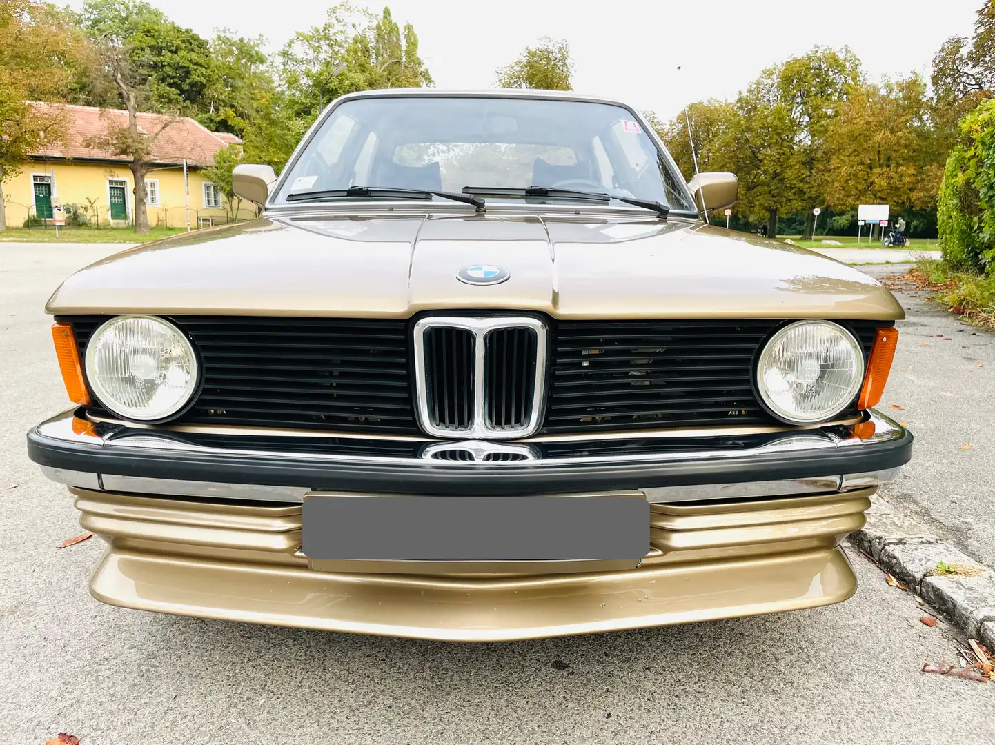 BMW 315 (E21) - 1