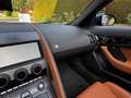 Jaguar F-Type R-Dynamic P450 Cabrio Blau - thumbnail 25