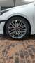 Kia ProCeed / pro_cee'd ProCeed 1.6 T-GDI DCT GT Bianco - thumbnail 27
