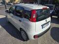 Fiat Panda 1.0 FireFly S&S Hybrid Eas 5 posti no obbligo fina Blanc - thumbnail 3