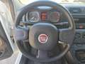 Fiat Panda 1.0 FireFly S&S Hybrid Eas 5 posti no obbligo fina Blanc - thumbnail 11