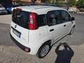 Fiat Panda 1.0 FireFly S&S Hybrid Eas 5 posti no obbligo fina Blanc - thumbnail 7