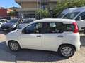 Fiat Panda 1.0 FireFly S&S Hybrid Eas 5 posti no obbligo fina Blanc - thumbnail 14