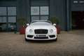 Bentley Continental GT 4.0 V8 Weiß - thumbnail 37
