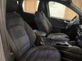 Ford Kuga 1.5 EcoBlue 120 CV aut. 2WD ST-Line Grigio - thumbnail 7