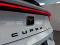 CUPRA Leon 1.4 e-Hybrid VZ 245pk Supersport stuurwiel / Beats Blanc - thumbnail 29