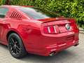 Ford Mustang 4.6L V8/Klimaautomatik/Leder/Sitzheizung crvena - thumbnail 9