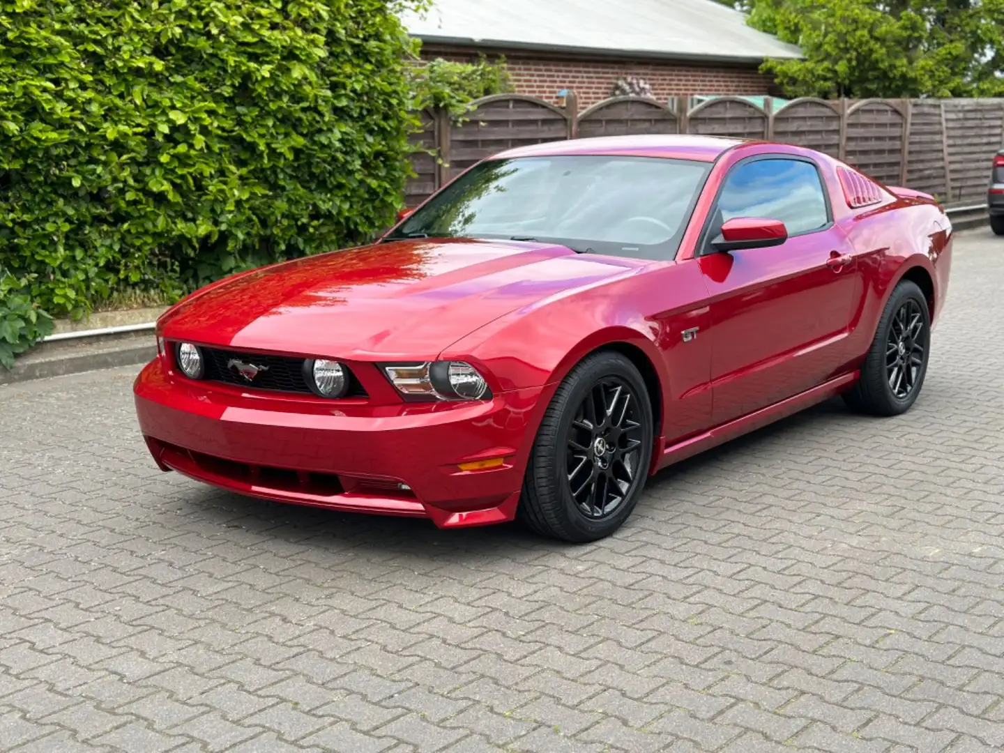 Ford Mustang 4.6L V8/Klimaautomatik/Leder/Sitzheizung Rouge - 1
