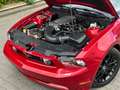 Ford Mustang 4.6L V8/Klimaautomatik/Leder/Sitzheizung Червоний - thumbnail 14