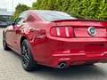 Ford Mustang 4.6L V8/Klimaautomatik/Leder/Sitzheizung Rojo - thumbnail 10