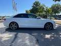 Audi A4 2.0 TFSI QUATTRO S-LINE Blanc - thumbnail 6