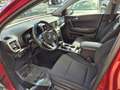 Kia Sportage 1.6 crdi mhev GT Line awd 136cv dct - thumbnail 6