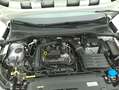 SEAT Arona Style DSG 1.0 Benzina 110CV Bianco - thumbnail 13