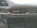 Mazda CX-30 G150 HOMURA AUT Grau - thumbnail 12
