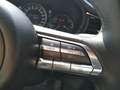 Mazda CX-30 G150 HOMURA AUT Grau - thumbnail 10