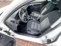 Skoda Octavia Ambition Blanc - thumbnail 7