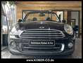 MINI Cooper Cabrio Highgate   LEDER+XENON+PDC+SHZ+NSW Braun - thumbnail 8