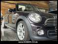 MINI Cooper Cabrio Highgate   LEDER+XENON+PDC+SHZ+NSW Braun - thumbnail 5