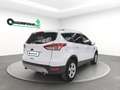 Ford Kuga Kuga 2.0 tdci Titanium 2wd Bianco - thumbnail 7