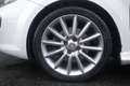 Fiat Punto Evo FIAT Punto Evo 1.3 Mjt 95 CV DPF 3 porte S&S Spor Blanc - thumbnail 5