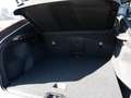 Volvo C40 Core Recharge Pure Electric 2WD LED PANO Gri - thumbnail 8