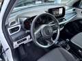Suzuki Swift 1,2 Hybrid Allgrip Shine Weiß - thumbnail 22