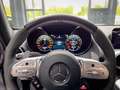 Mercedes-Benz AMG GT S Coupe/AMG PERF/PANO/MAGNO/BURMESTER Grijs - thumbnail 25