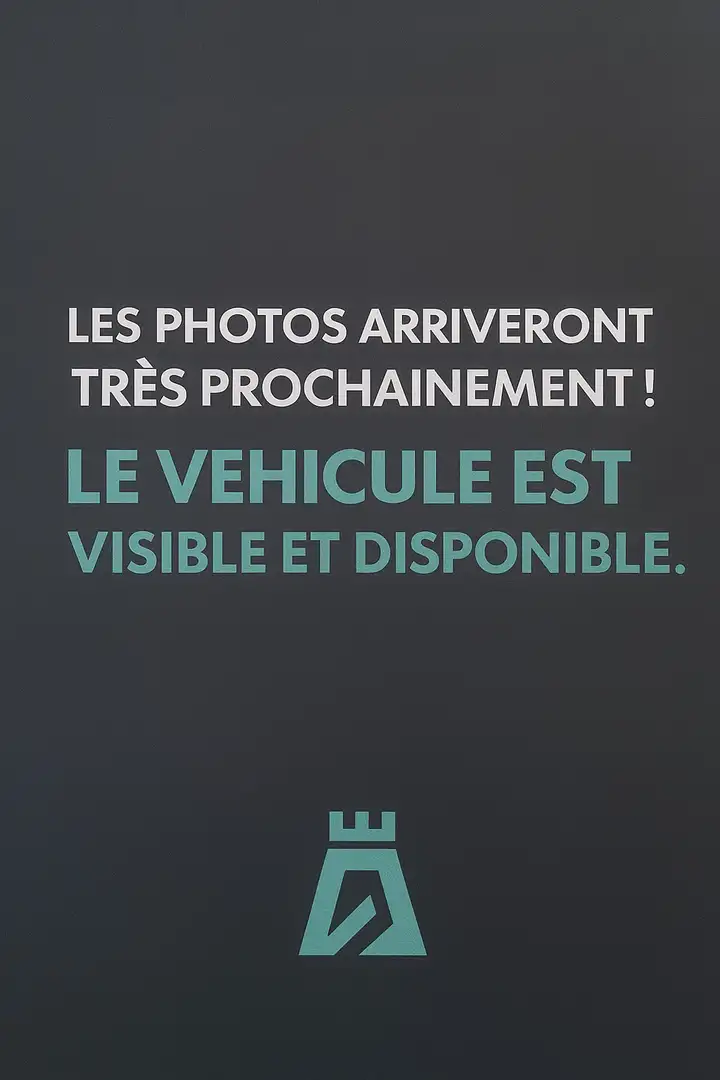 Ford Transit Custom 9 places - 2021 - 89.000 km Grijs - 1