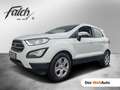 Ford EcoSport Cool & Connect Wit - thumbnail 1