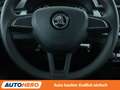 Skoda Fabia 1.0 TSI Ambition *TEMPO*PDC*SHZ*KLIMA* Grau - thumbnail 19