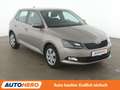 Skoda Fabia 1.0 TSI Ambition *TEMPO*PDC*SHZ*KLIMA* Grau - thumbnail 8