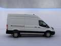 Ford Transit Kasten Trend 350L3H3 *EXPRESS-LINE-PAKET* Blanco - thumbnail 7