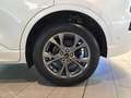 Ford Kuga 2.5 Duratec PHEV ST-Line ACC AHK Navi SHZ Blanc - thumbnail 26
