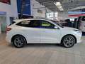 Ford Kuga 2.5 Duratec PHEV ST-Line ACC AHK Navi SHZ Blanc - thumbnail 6