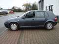 Volkswagen Golf Golf IV 1.4 Comfortline - thumbnail 7